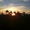 Atardecer Llanero