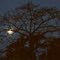 LUNA LLENA CERCA A TAURAMENA (CASANARE)