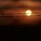 SOL DE LOS VENADOS CERCA A TAURAMENA (CASANARE)