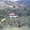Finca hawai Patia