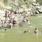 Rio Palo