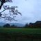 Algodonal, Aguachica