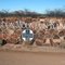 Dragoon Mountain Ranch