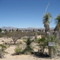 Benson, AZ