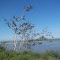 rivera rio magdalena La Gloria - Cesar