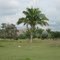La mina de El Hatillo desde la hacienda Panorama