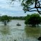 CIENAGA 4