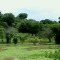 CIENAGA