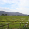 Badillo, Valledupar, Colombia