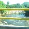 RIO BADILLO