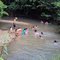 CAÑO MORROCOYES