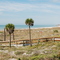Clearwater FL