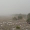 Caladesi Island in heavy fog