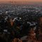 Los Angeles from Griffith Park