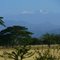 Sierra Nevada de Santa Marta Caracolicito