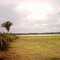 La Ciénaga