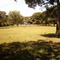 Finca La Pachita
