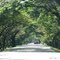 Ruta 45 - San Roque - Cesar.