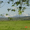 Montrose, CO