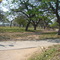 parque algarrobillo