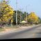 Cañaguates en la carretera.