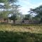 Finca Manzanillal en el corregimiento de Los Pondores