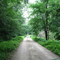 Dirt Road