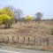 Primavera y otoño en el verano