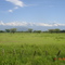 Valledupar a Bosconia. Vista II