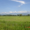 Valledupar a Bosconia. Vista III