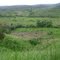 Plantación de caucho en la vereda Villa la paz