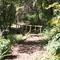 Trail at Tinkers Run Park