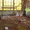 Abandoned Warden Mine Building