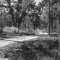 BW Fire Road, Flordia Greenway