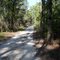 Cross Florida Greenway Limestone Road Trail