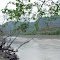 Rio Magdalena, paisaje