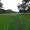 Bosque de Galeria