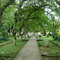 Medina, parque
