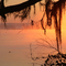 Sunrise on Lake Seminole