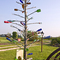Rare Bottle Tree