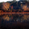 DAWN ON LAKE SEMINOLE
