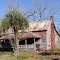 weathered red cracker house, rural Gadsden County, Hermitage Fla (1-3-2012)