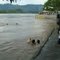 niños jugando en el río