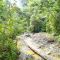 bosque donde el hombre no aparece mucho