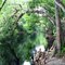 Billy Lake in Bull Creek
