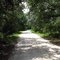 Bull Creek Loop Road