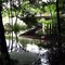 Crabgrass Road Bridge over Crabgrass Creek