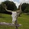 Cracker Cattle Head at Florida Eco-Safari, Kenansville, Florida