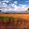 Williams Road, Three Lakes W.M.A.