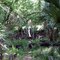 Bull Creek narrow crossing bridge - history now - been replaced